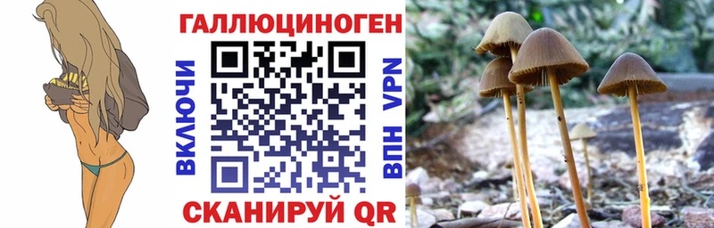 кракен ссылки  Дигора  Псилоцибиновые грибы прущие грибы 