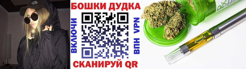 Шишки марихуана семена Дигора